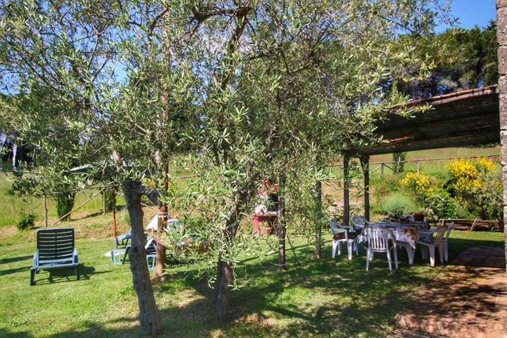 Agriturismo Bellavista Radicondoli Eksteriør bilde